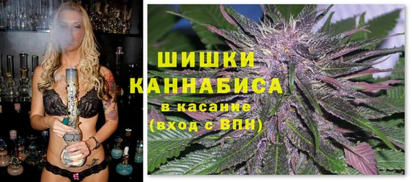 mdpv Мегион