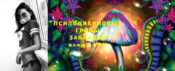 соль ск Медвежьегорск