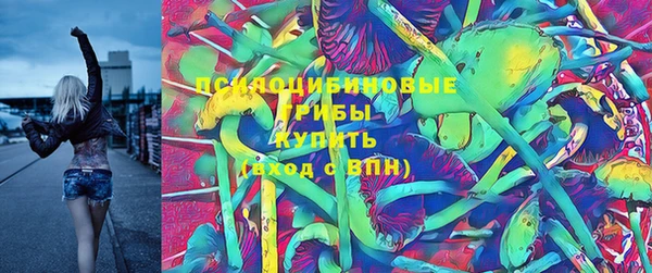 соль ск Медногорск