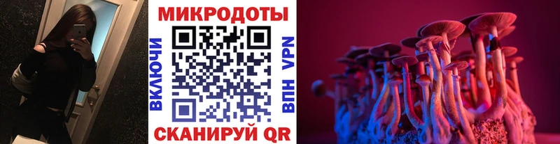 Псилоцибиновые грибы Psilocybe  Купить  Менделеевск 